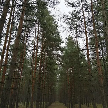 Sobe Masa Country house *