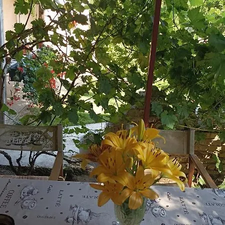 乡村民宿 Sobe Masa *