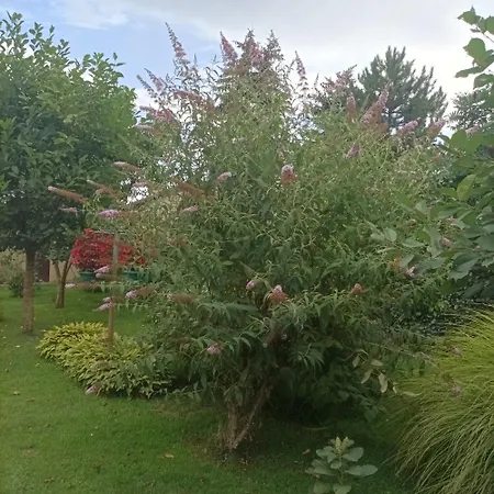 Sobe Masa 乡村民宿 苏博蒂察