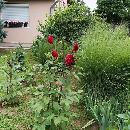 Country house Sobe Masa Subotica