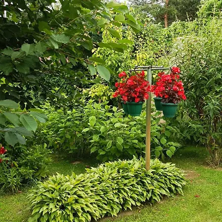 Country house Sobe Masa