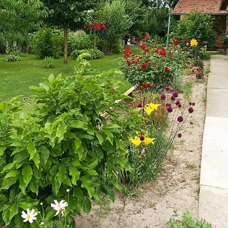 Sobe Masa Country house