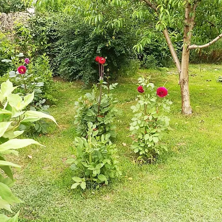 Sobe Masa Country house