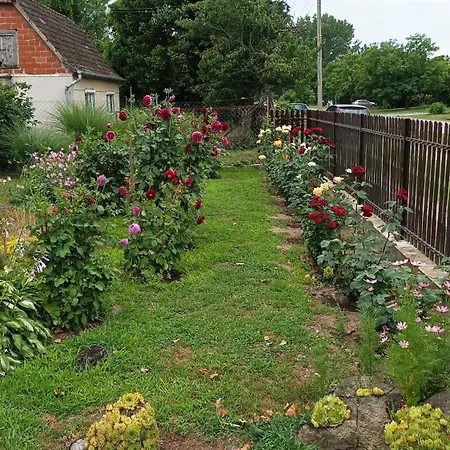 Sobe Masa * 苏博蒂察