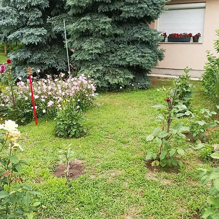 乡村民宿 Sobe Masa