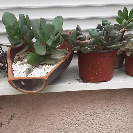 乡村民宿 Sobe Masa