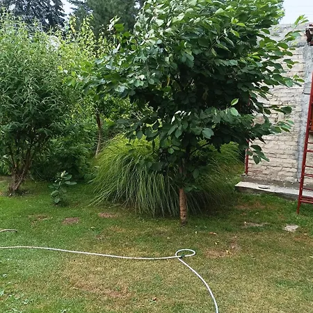 乡村民宿 Sobe Masa