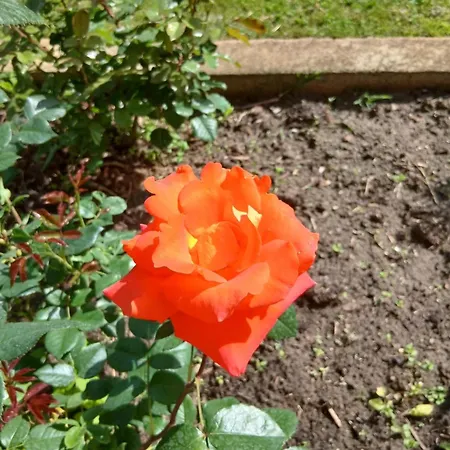 Sobe Masa 乡村民宿 苏博蒂察