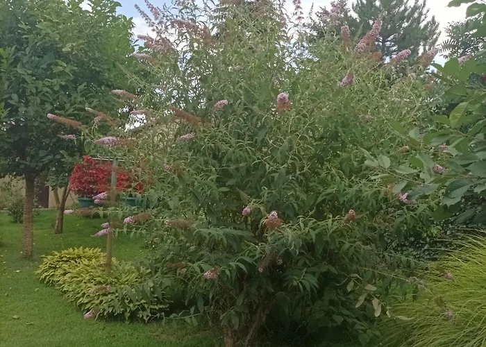 Sobe Masa Venkovský dům Subotica